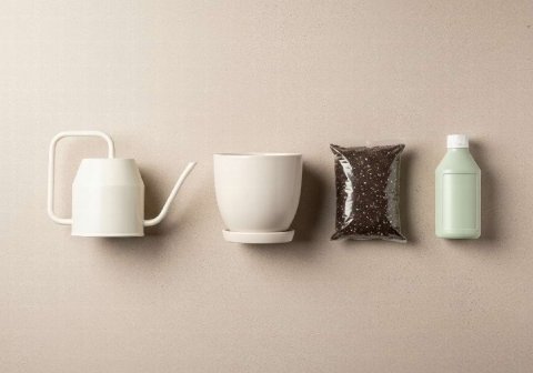 The Only 4 Plant Care Tools You Actually Need to Get Started