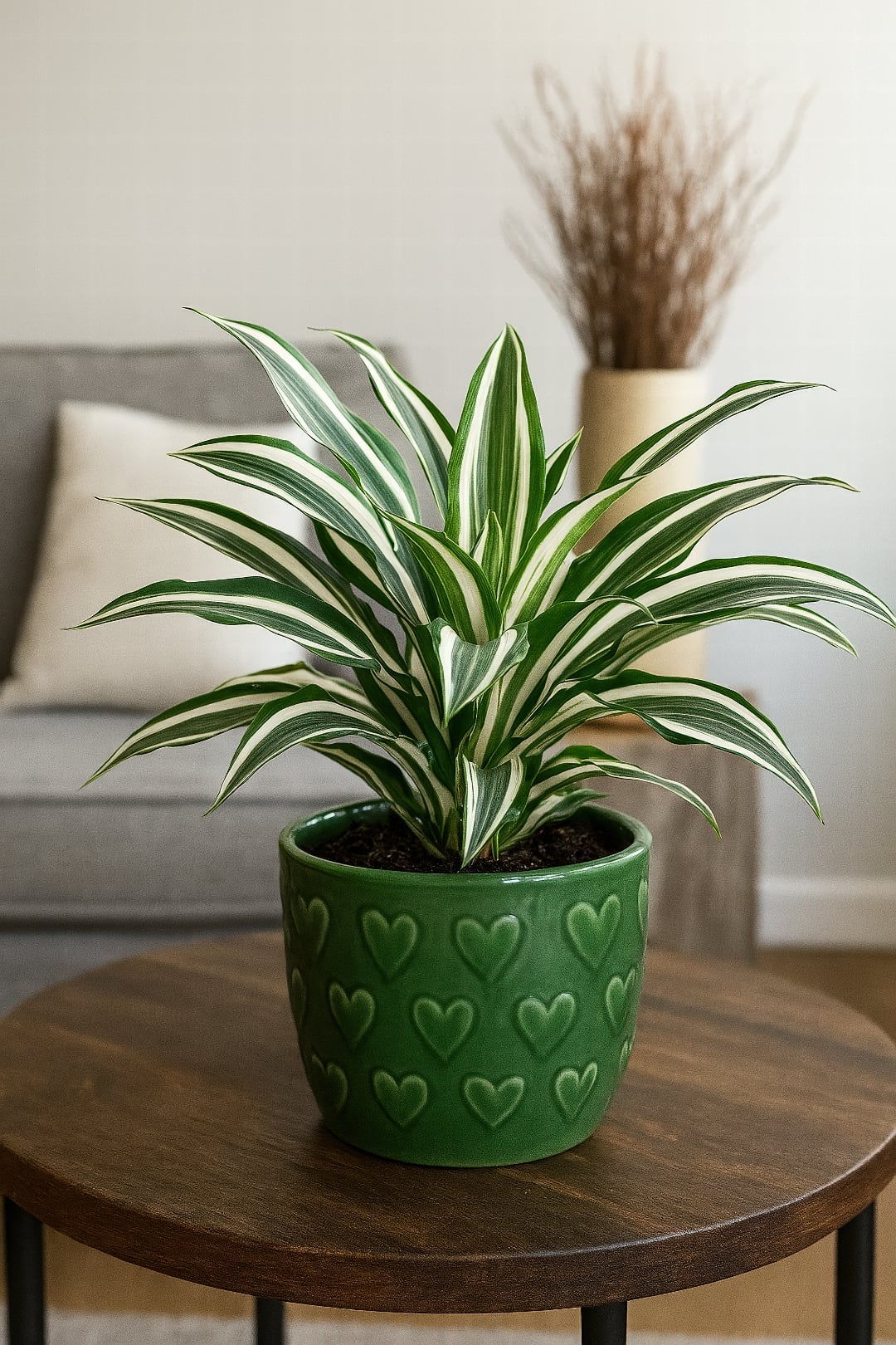 The clean white and grey-green stripes of a Dracaena 'Warneckii'.
