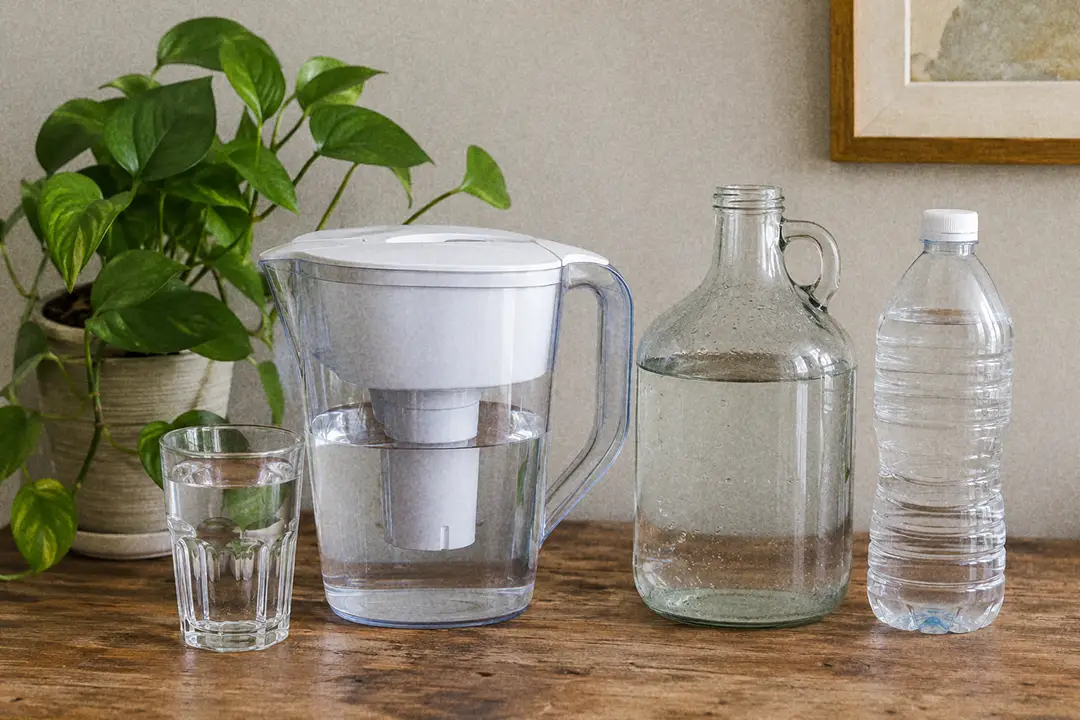 A collection of watering options including a rainwater jug, filtered pitcher, and distilled bottle