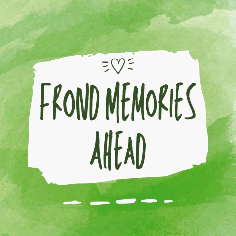 Nephrolepis exaltata ‘Dallasii’ with its compact, upright fronds.