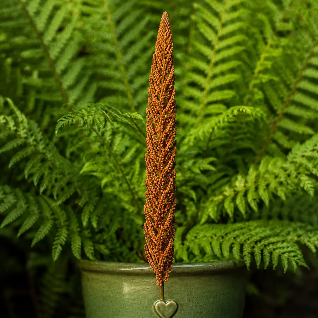 A macro close-up of a single cinnamon-rust colored fertile frond of Cinnamon Fern standing upright in the center of a green sterile vase, showing the densely clustered cinnamon-brown sporangia covering the entire spike from base to tip in sharp focus against a softly blurred backdrop of green sterile fronds
