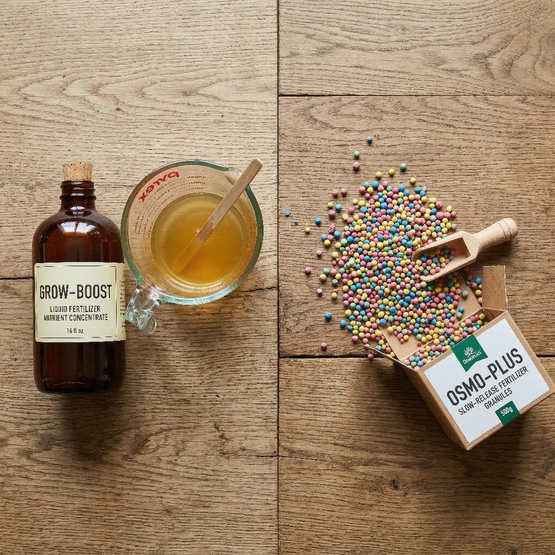 A side-by-side flat lay showing a bottle of liquid fertilizer with a measuring cup on the left and slow-release granules scattered on the right.