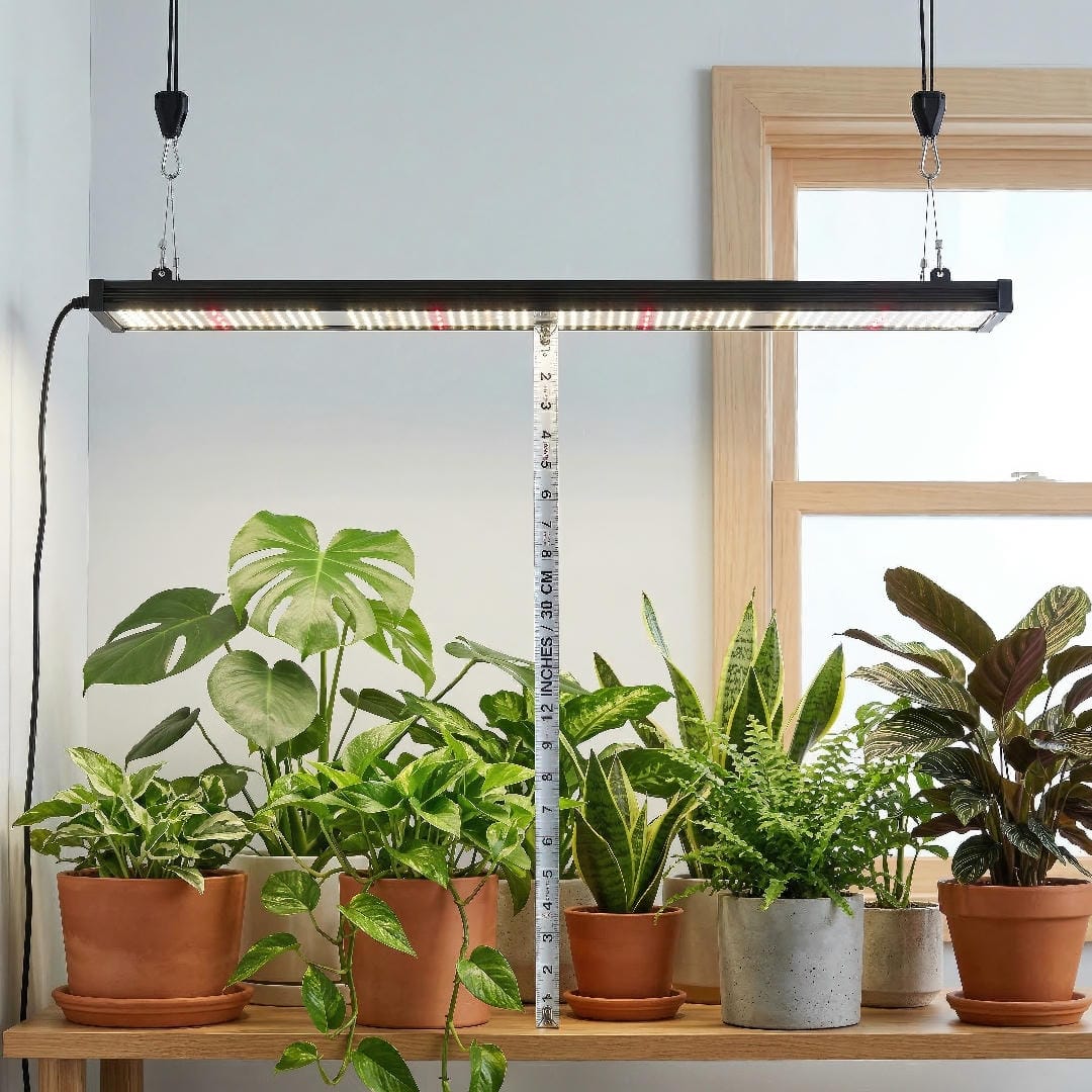 A side view showing an LED grow light mounted at the correct distance above a collection of houseplants.